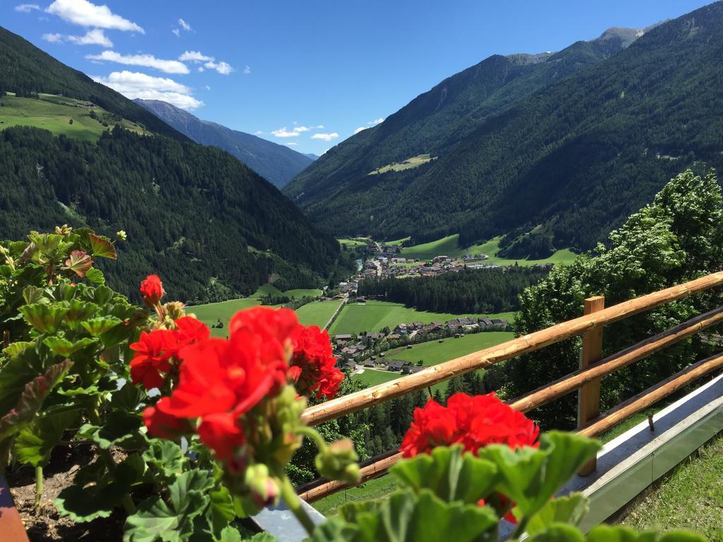 Grossstahlhof Mountain & Panorama View Apartment Ahrntal Екстериор снимка