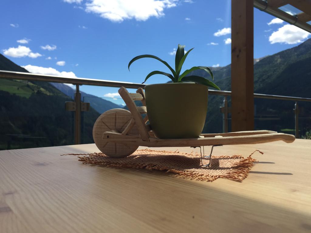 Grossstahlhof Mountain & Panorama View Apartment Ahrntal Екстериор снимка