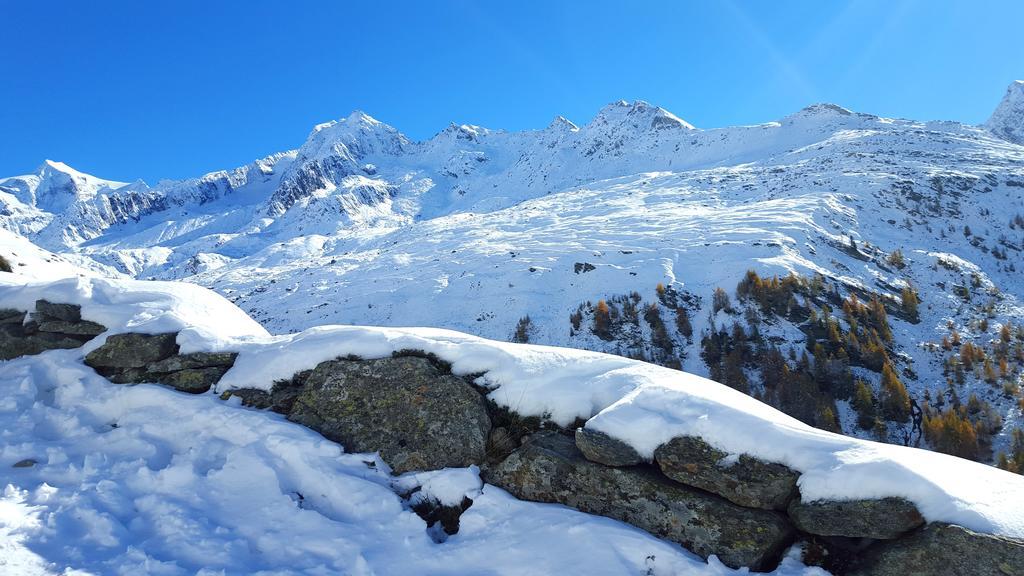 Grossstahlhof Mountain & Panorama View Apartment Ahrntal Екстериор снимка