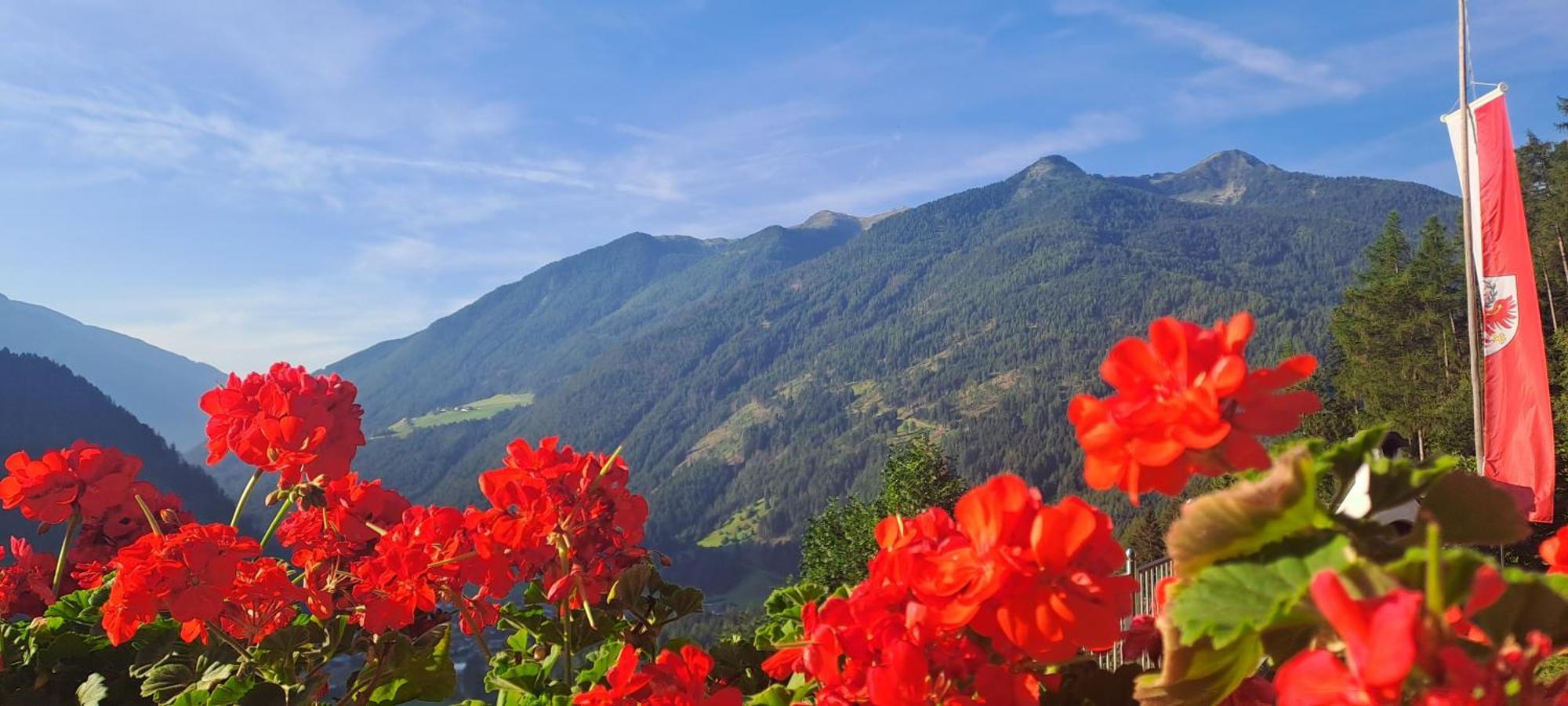 Grossstahlhof Mountain & Panorama View Apartment Ahrntal Екстериор снимка